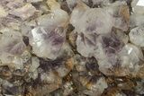 Wide Spectacular Amethyst Geode From Madagascar #230292-4